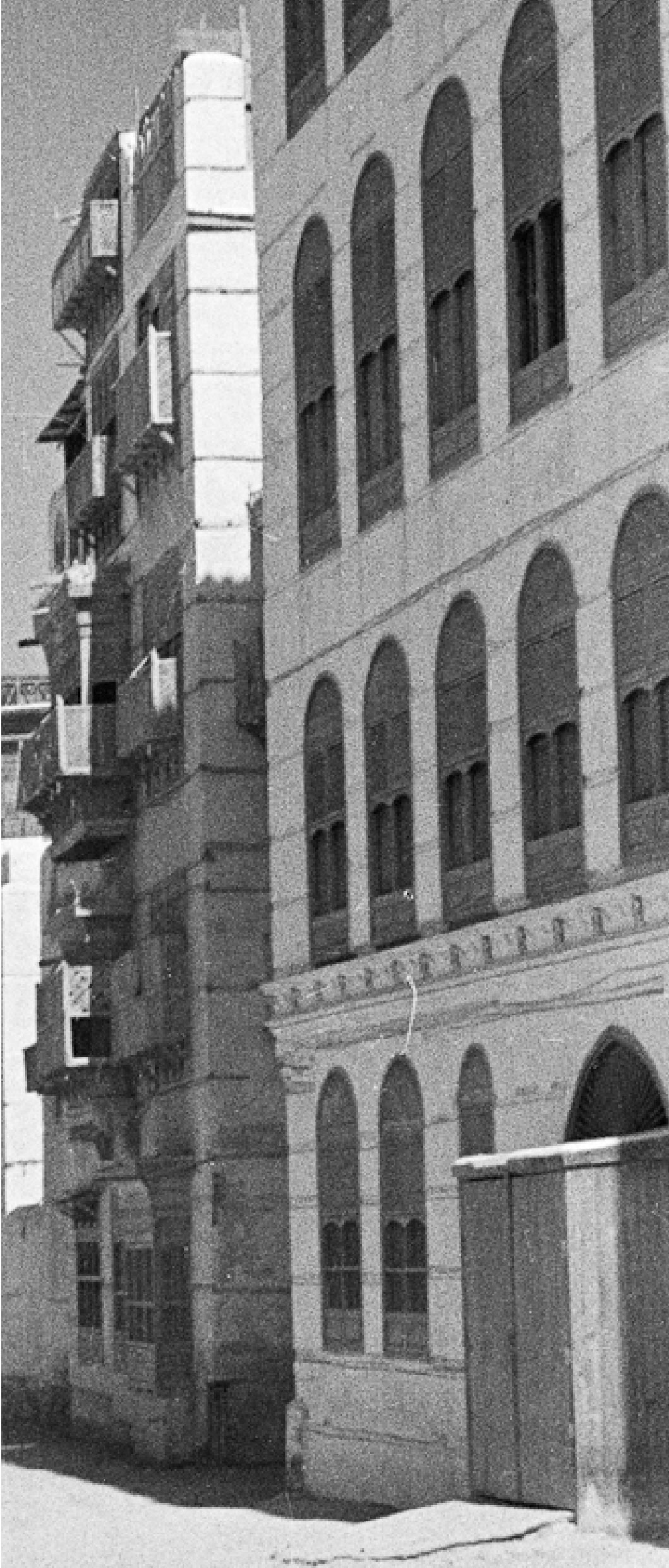 المسيرة المهنية